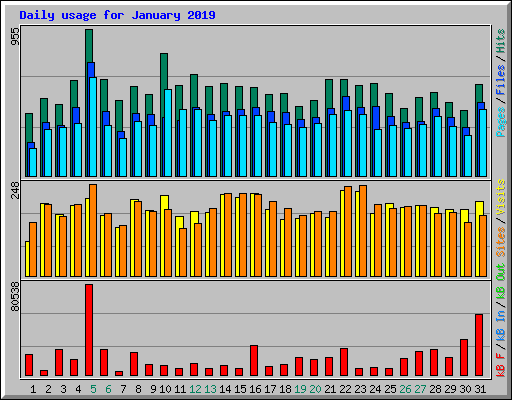 Daily usage for January 2019