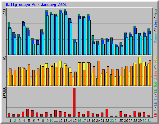 Daily usage for January 2021
