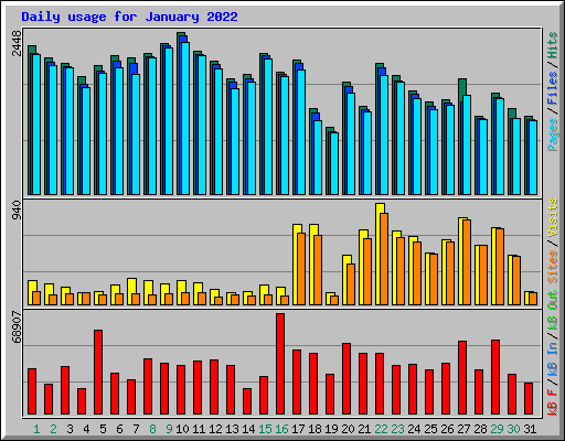 Daily usage for January 2022