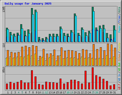 Daily usage for January 2025