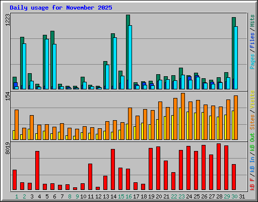 Daily usage for November 2025