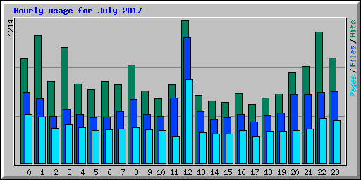 Hourly usage for July 2017