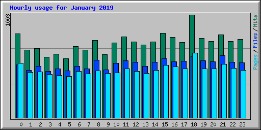 Hourly usage for January 2019