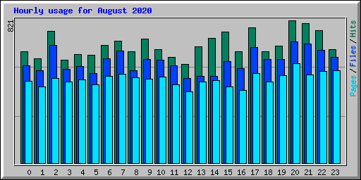Hourly usage for August 2020