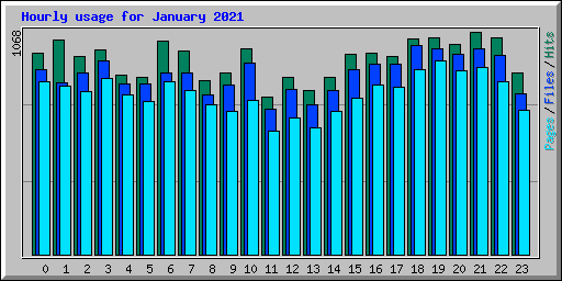 Hourly usage for January 2021