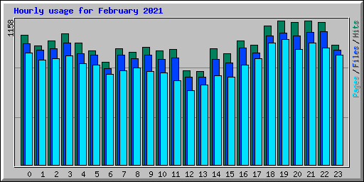 Hourly usage for February 2021