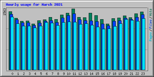 Hourly usage for March 2021