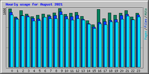 Hourly usage for August 2021