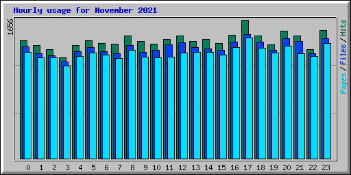 Hourly usage for November 2021
