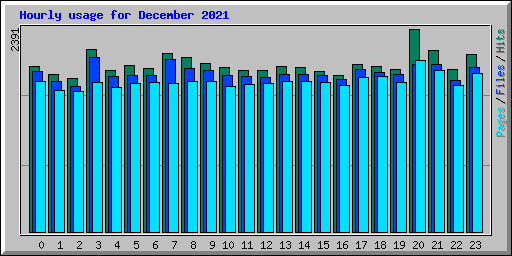 Hourly usage for December 2021