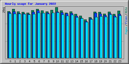 Hourly usage for January 2022