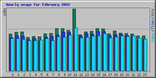 Hourly usage for February 2022
