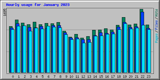 Hourly usage for January 2023