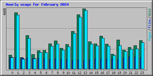Hourly usage for February 2024