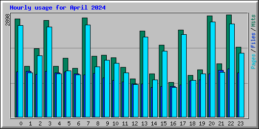 Hourly usage for April 2024