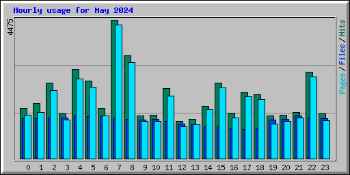 Hourly usage for May 2024