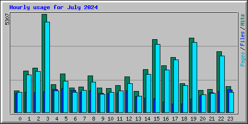 Hourly usage for July 2024