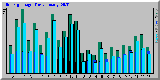 Hourly usage for January 2025