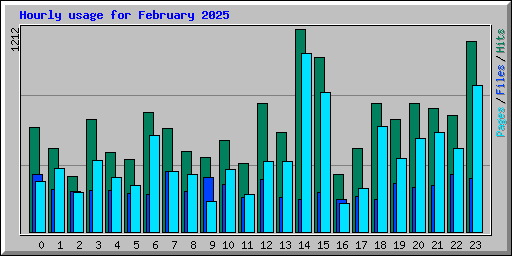 Hourly usage for February 2025