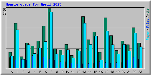 Hourly usage for April 2025