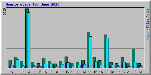 Hourly usage for June 2025