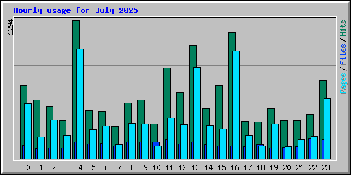 Hourly usage for July 2025