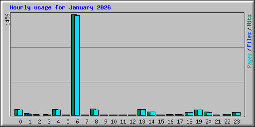 Hourly usage for January 2026
